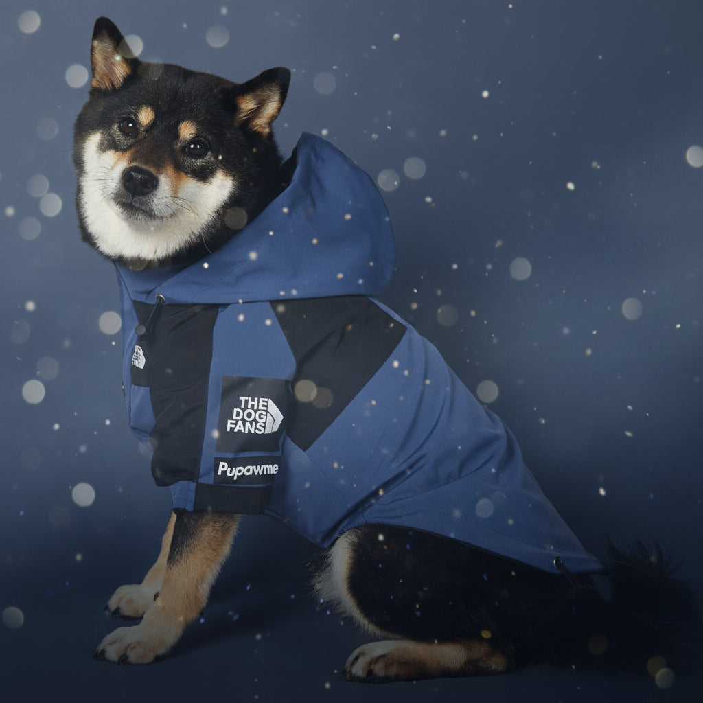 impermeable pour chien