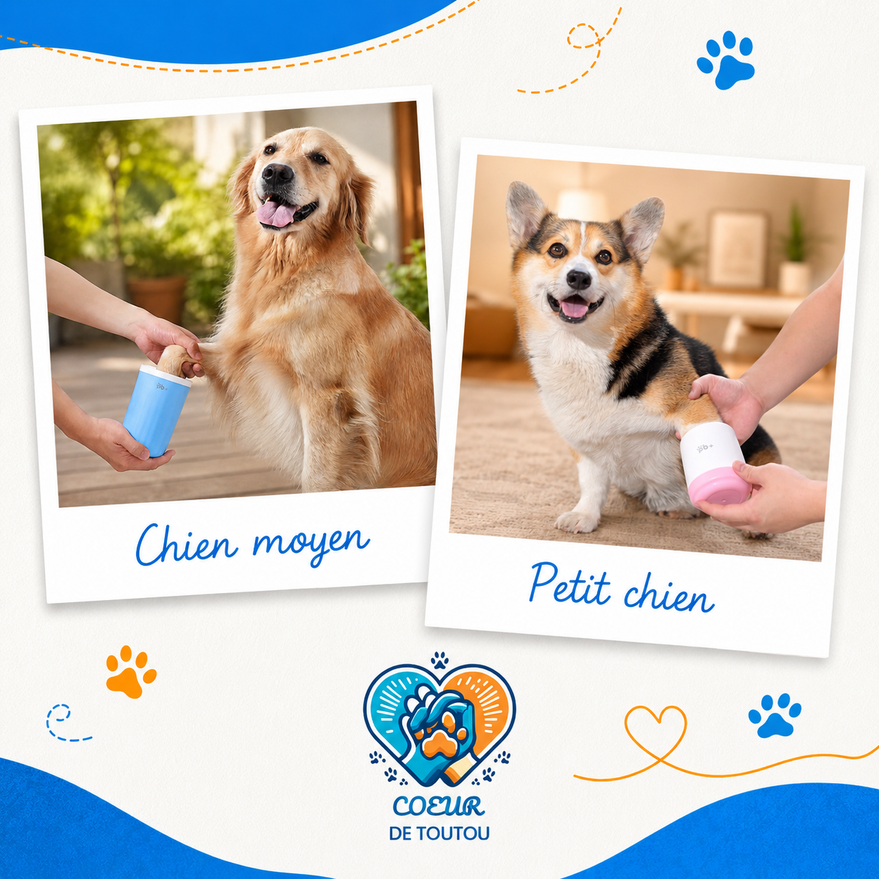 lave pattes pour chien