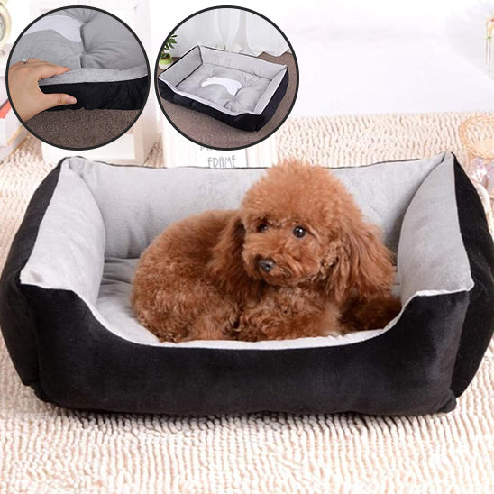 Panier pour Chien Douillet à Bord Surélevé – Confort et Sécurité | CocoonZen™