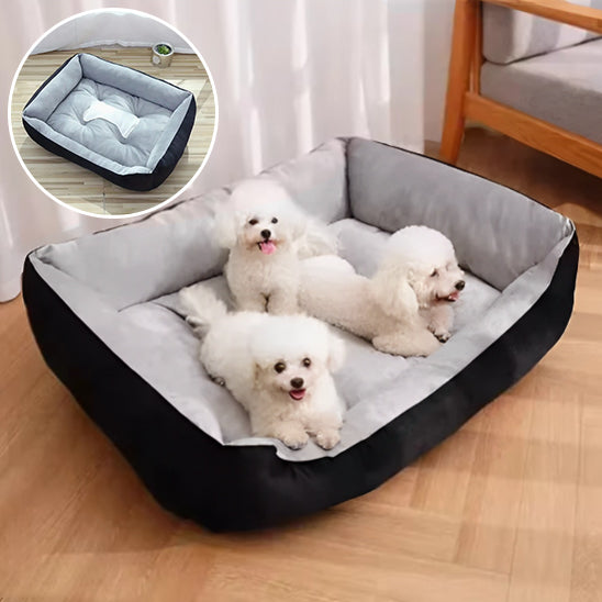 Panier pour Chien Douillet à Bord Surélevé – Confort et Sécurité | CocoonZen™