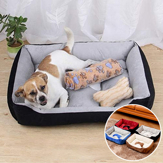 Panier pour Chien Douillet à Bord Surélevé – Confort et Sécurité | CocoonZen™