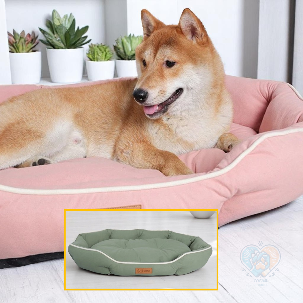 Panier pour Chien Moelleux | Nid Éden™