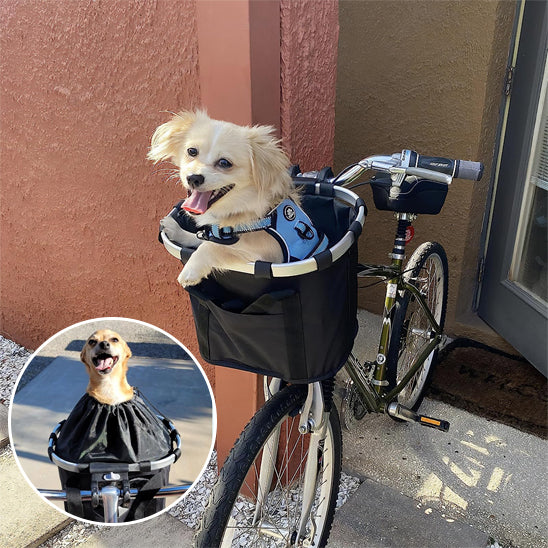Panier Vélo pour Chien | BikeExplorer™