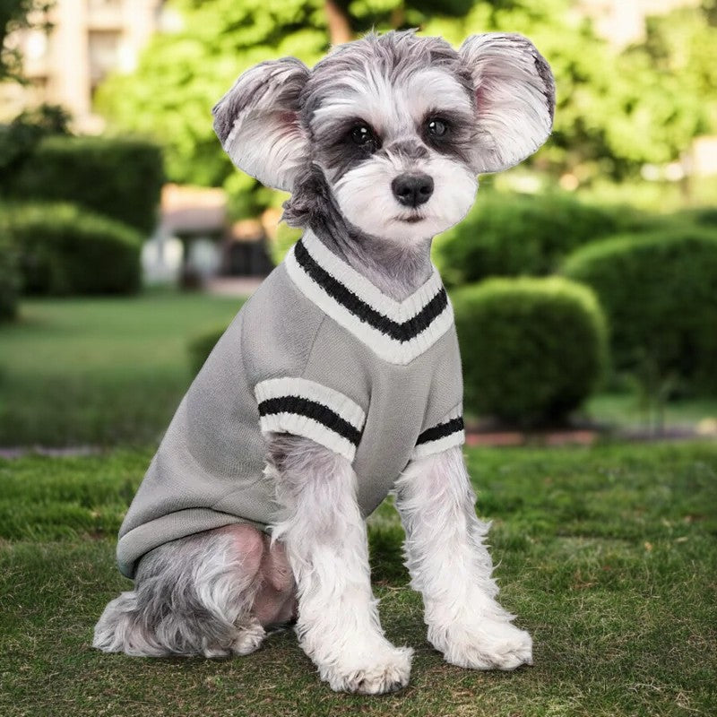 Pull preppy col V pour chien et chat | CampusPup™