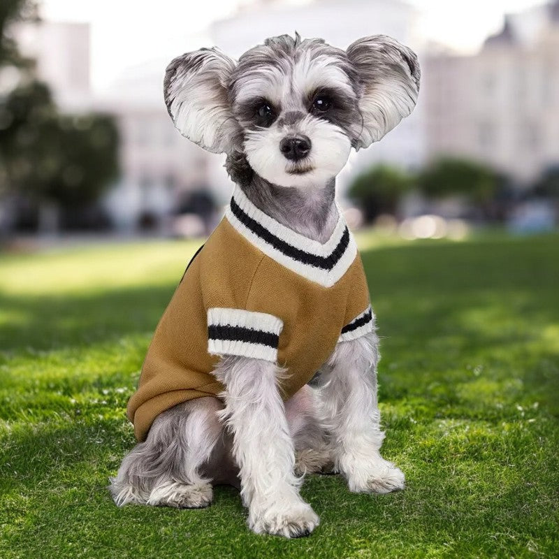 Pull preppy col V pour chien et chat | CampusPup™