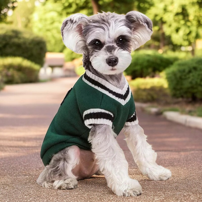 Pull preppy col V pour chien et chat | CampusPup™