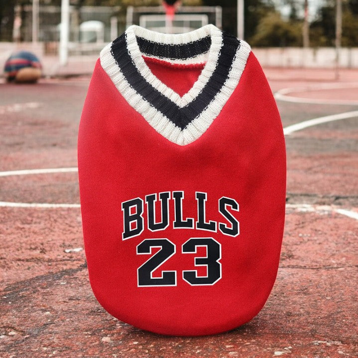 Pull preppy col V pour chien et chat | CampusPup™