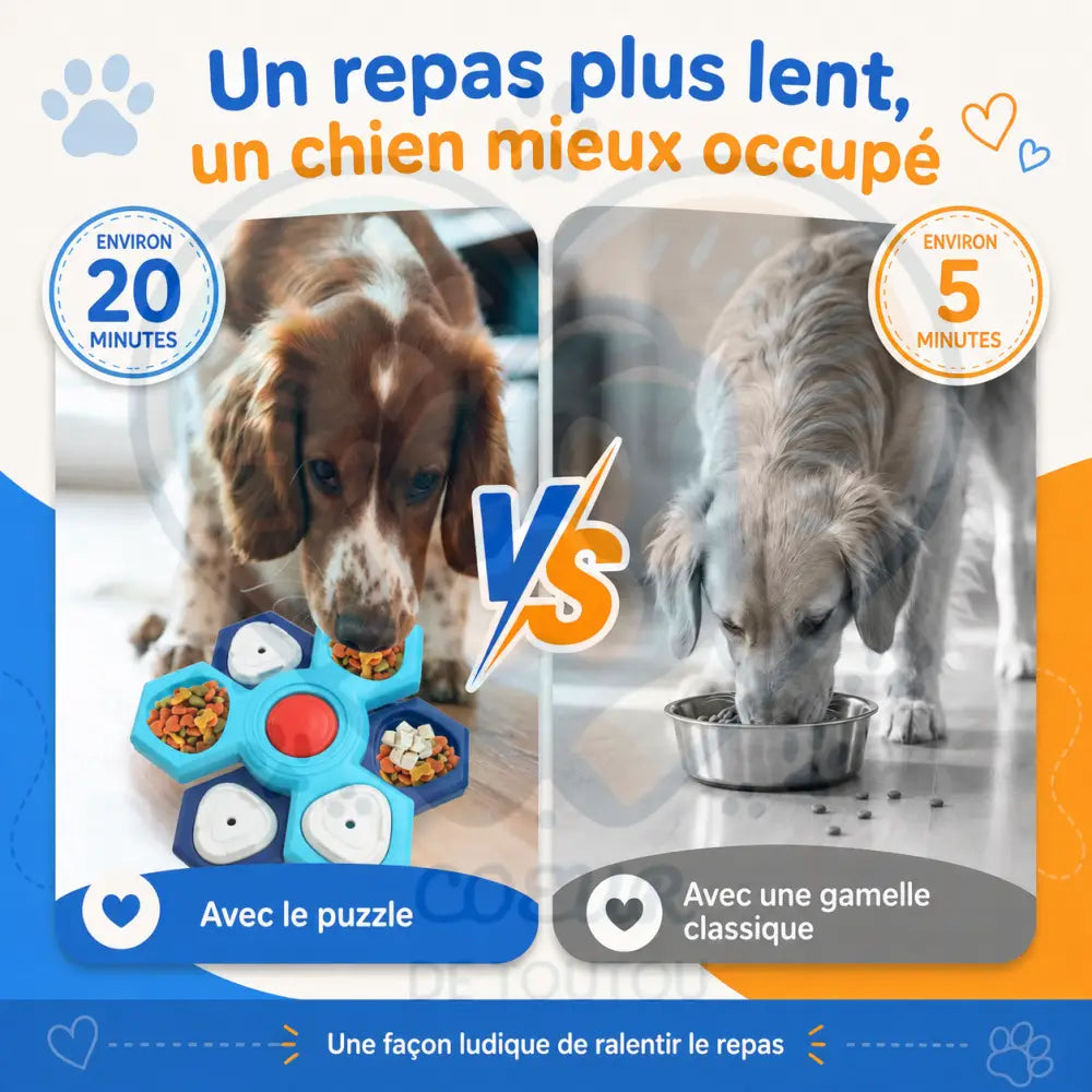 gamelle anti glouton chien