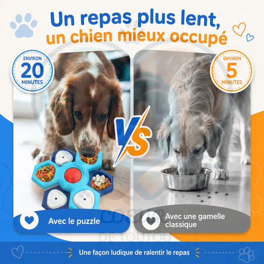 gamelle anti glouton chien