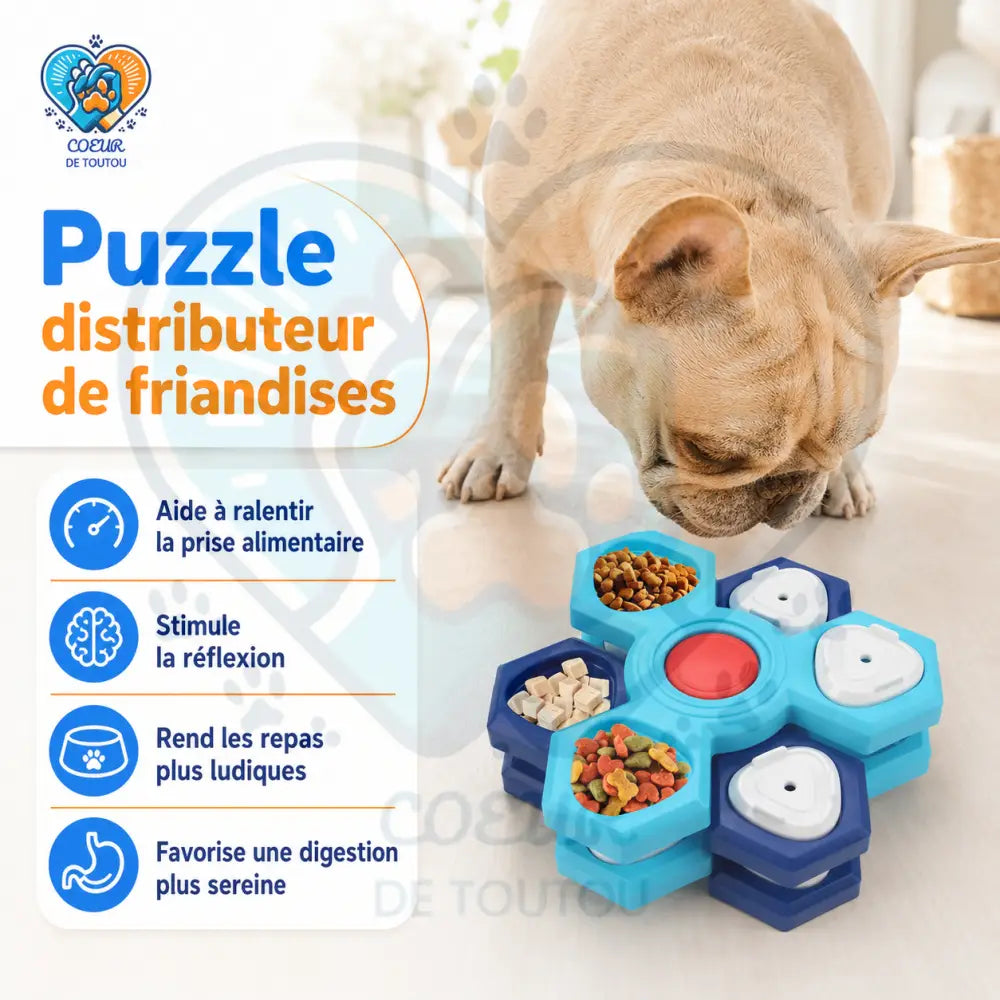 gamelle anti glouton chien