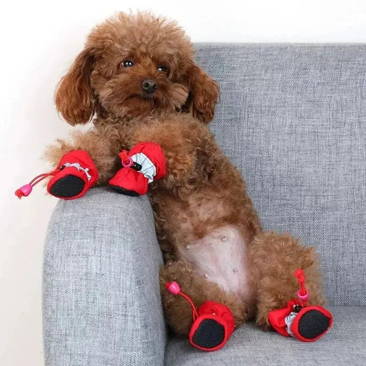 SetChiensWaterproofChaussettes™ - Coeur de Toutou