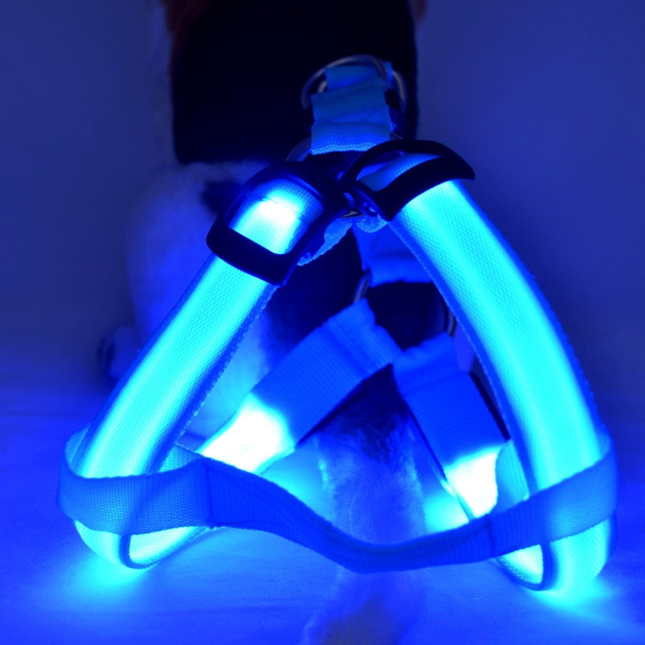 Luminous Dog Leash