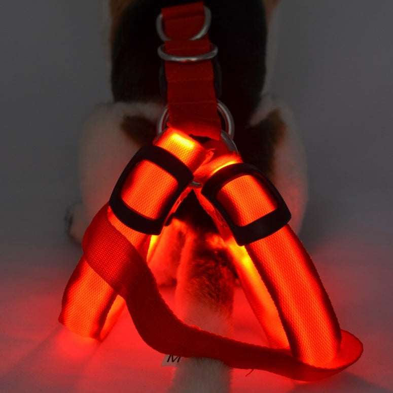 Luminous Dog Leash