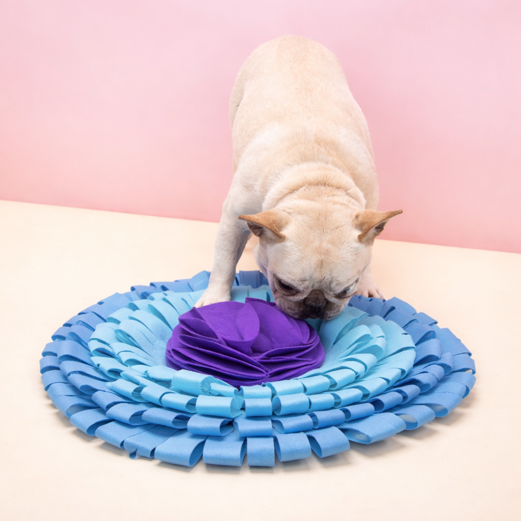 tapis de fouille chien