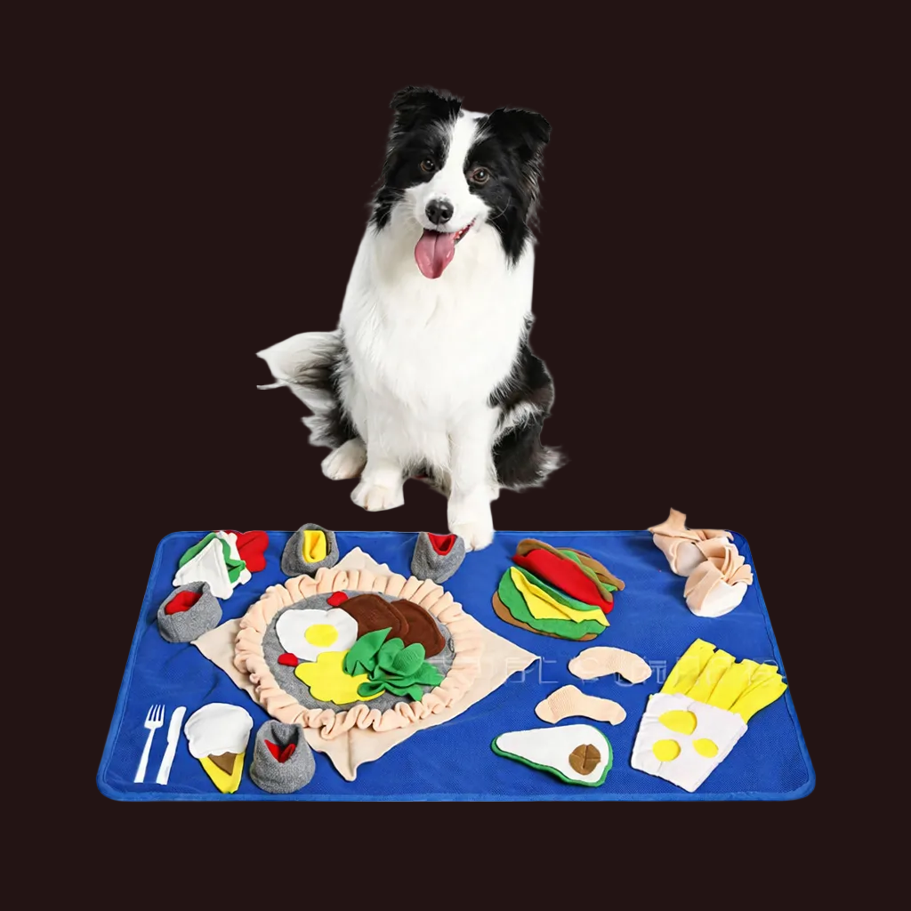 tapis de fouille chien