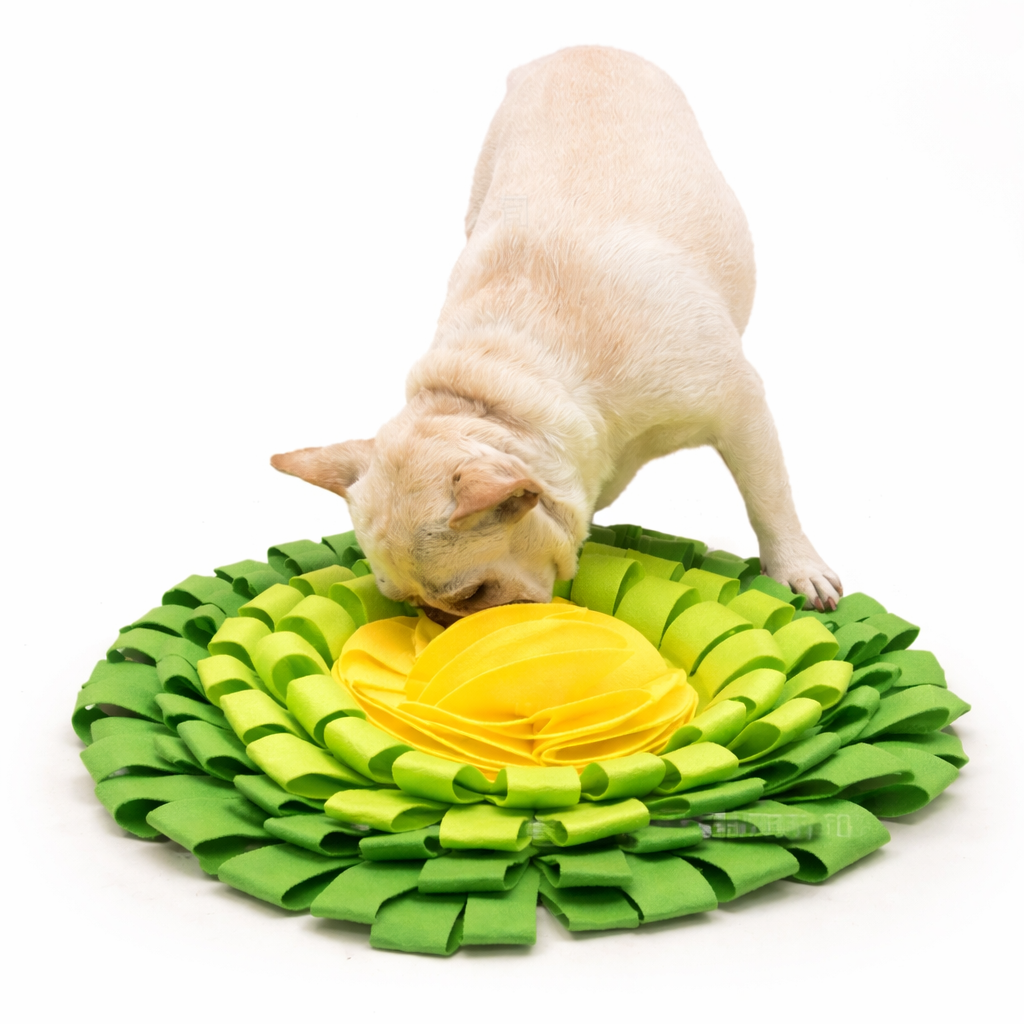 tapis de fouille chien