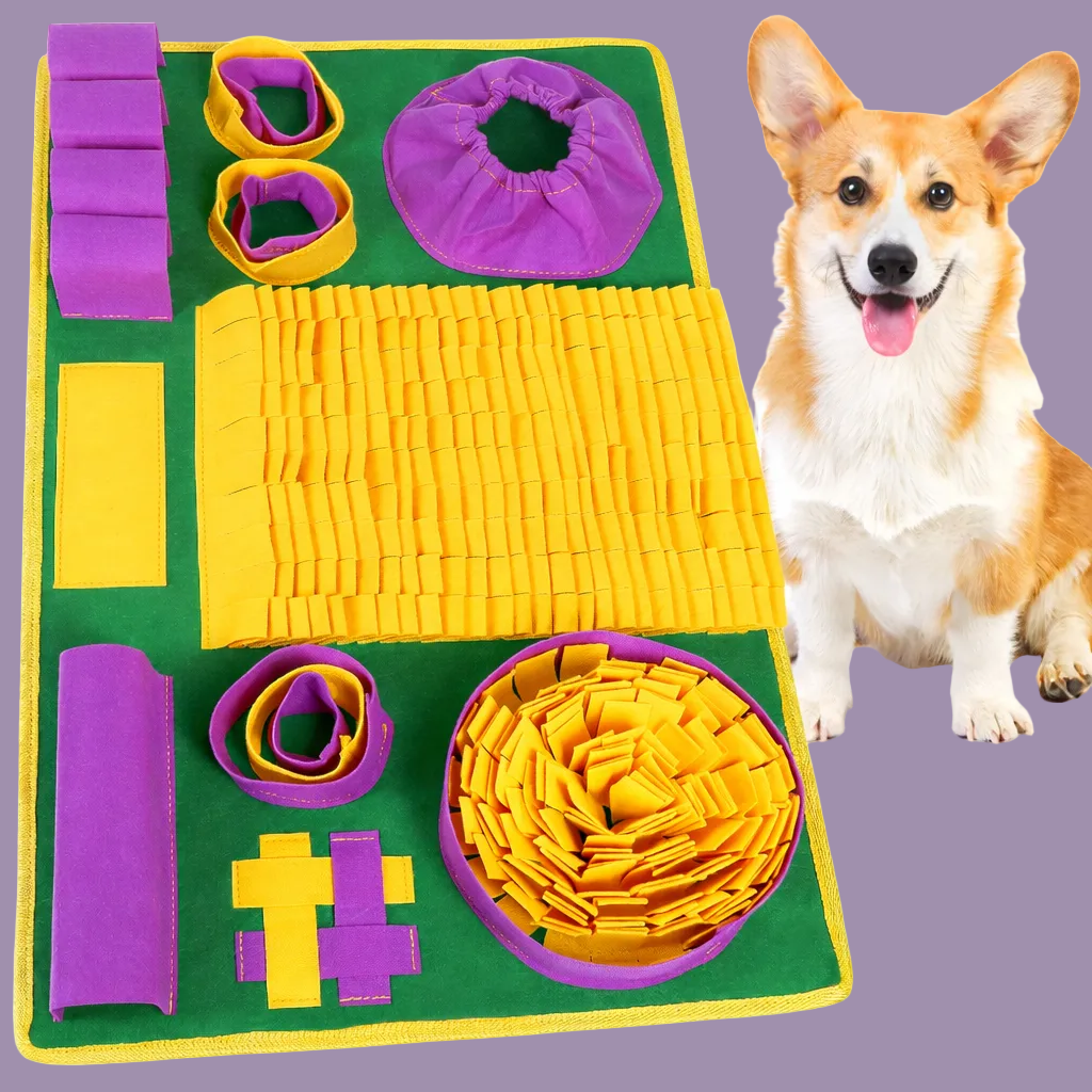 tapis de fouille chien