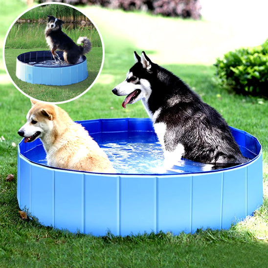 Tapis Piscine pour Chien | AquaPaws™ - Fraîcheur & Jeu Sous le Soleil