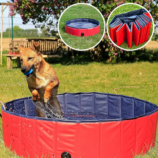 Tapis Piscine pour Chien | AquaPaws™ - Fraîcheur & Jeu Sous le Soleil