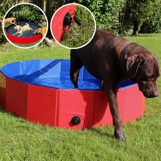 Tapis Piscine pour Chien | AquaPaws™ - Fraîcheur & Jeu Sous le Soleil