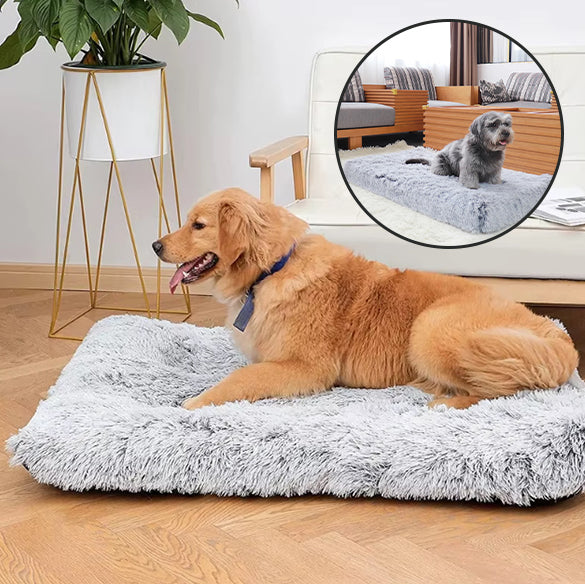 tapis-pour-chien-anti-anxiete