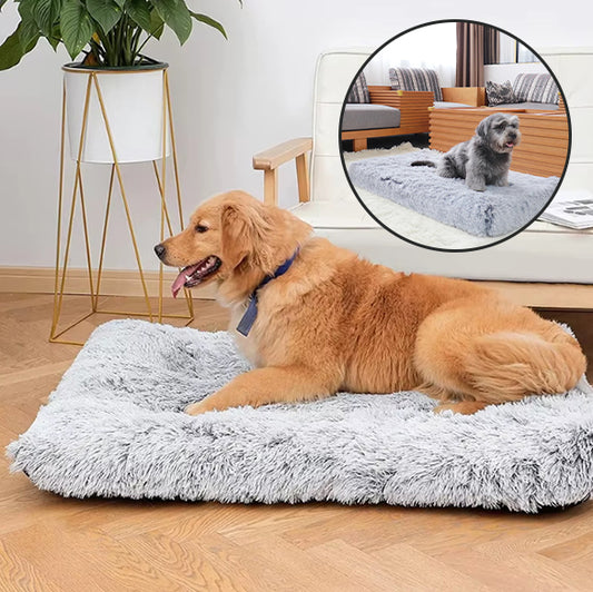 tapis-pour-chien-anti-anxiete