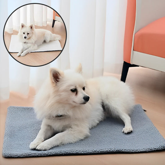 Tapis Auto-Chauffant pour Chien | HeatNest™
