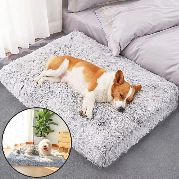 tapis-pour-chien-confort