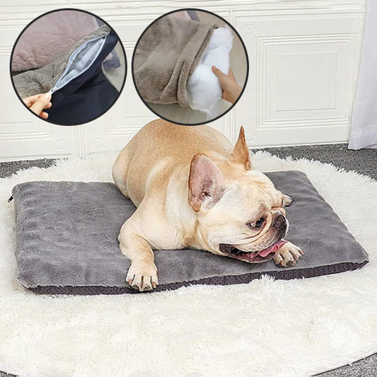 Tapis Absorbant Polyvalent pour chien | CosyGuard™