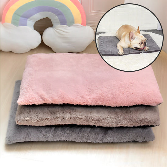 Tapis Absorbant Polyvalent pour chien | CosyGuard™