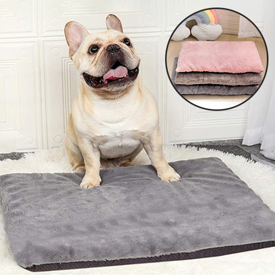Tapis Absorbant Polyvalent pour chien | CosyGuard™