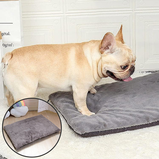 Tapis Absorbant Polyvalent pour chien | CosyGuard™