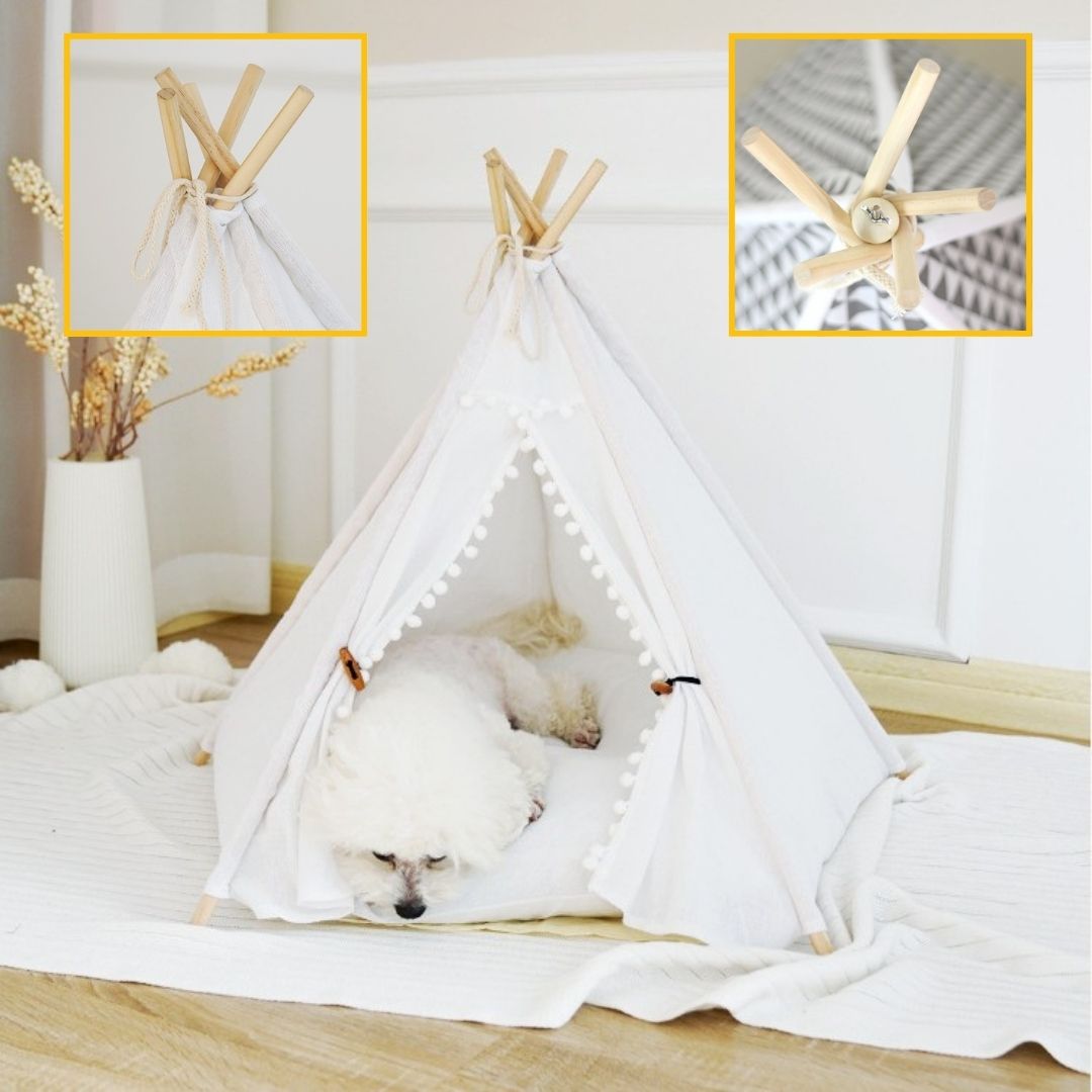 Tente pour chat pliable et lavable avec design moderne
